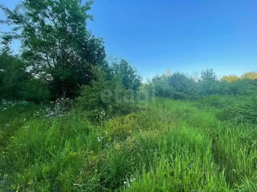 Участок в Краснодарский край, Геленджик городской округ, с. ... - Фото 2