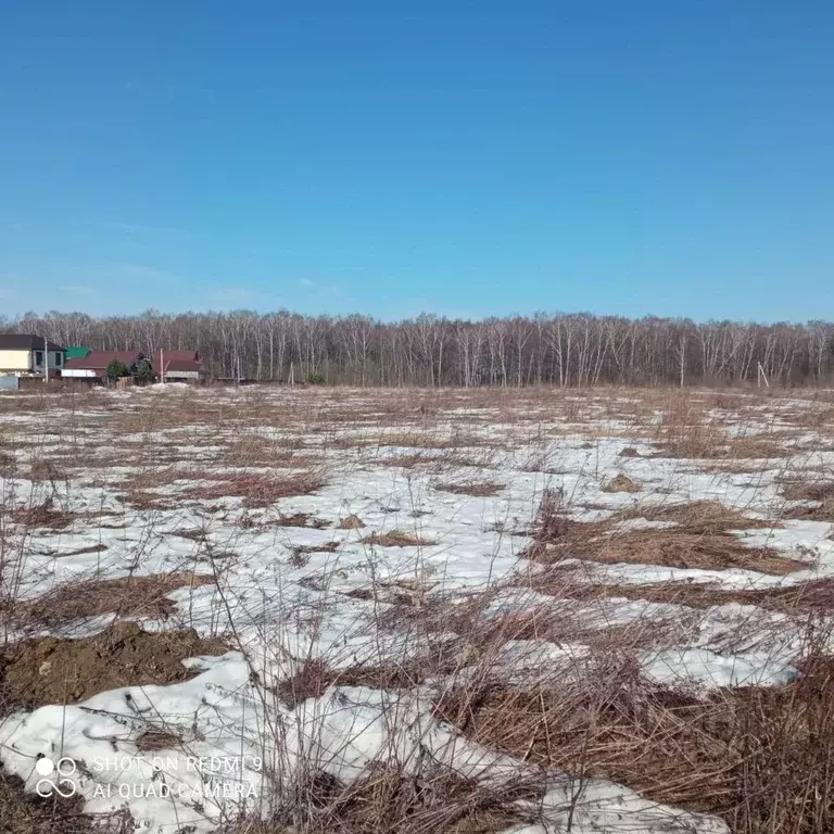 Участок в Московская область, Чехов городской округ, д. Чепелево  ... - Фото 0