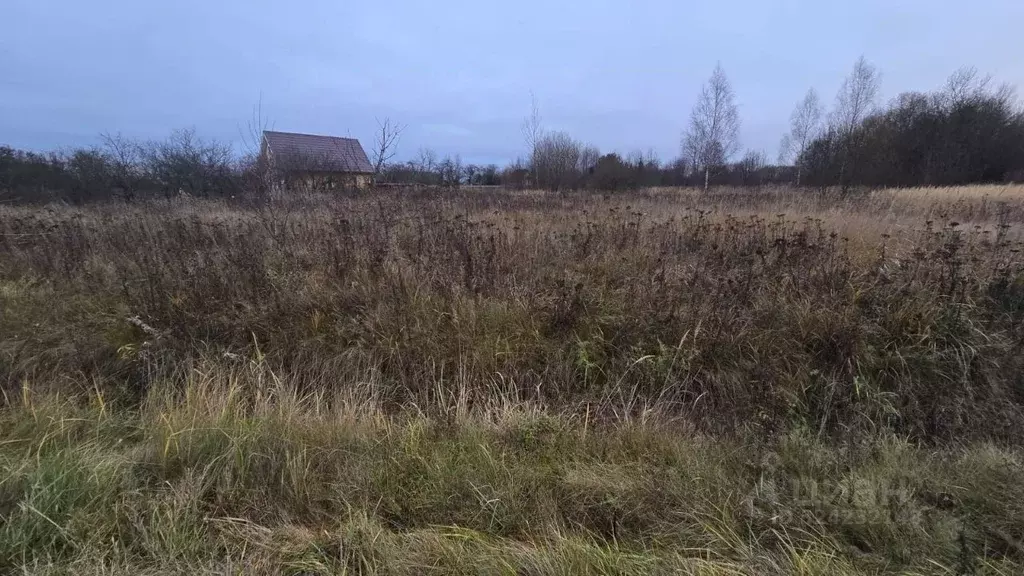 Участок в Московская область, Ступино городской округ, д. ... - Фото 1