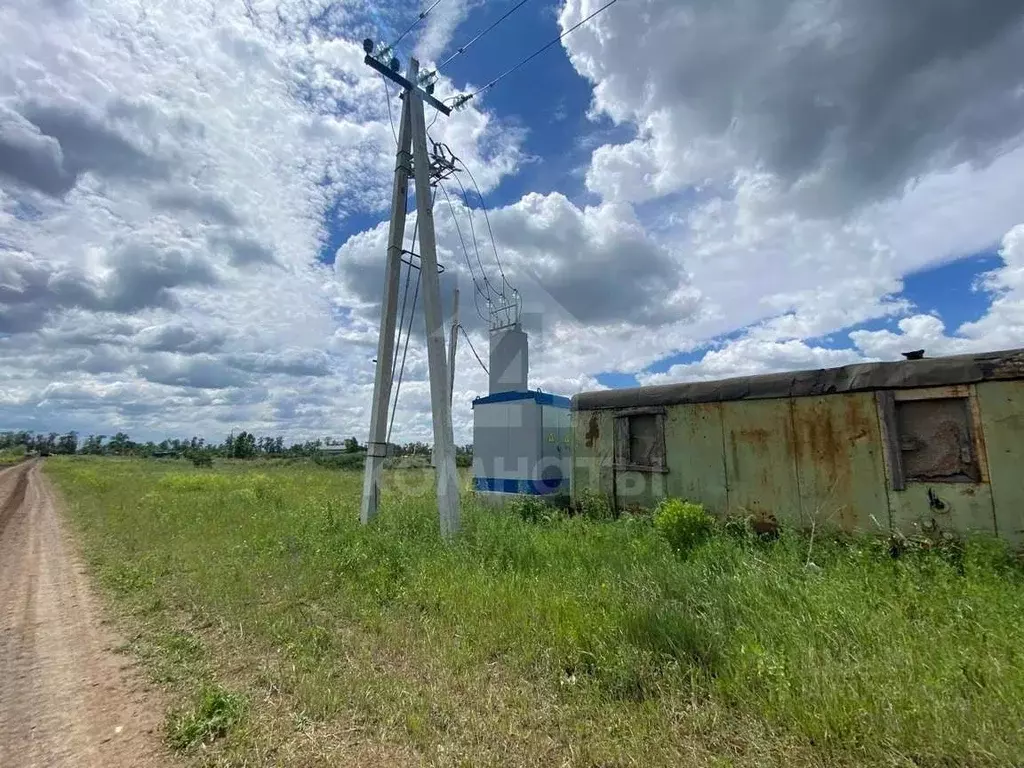 участок в воронежская область, с. новая усмань (135.0 сот.) - Фото 0