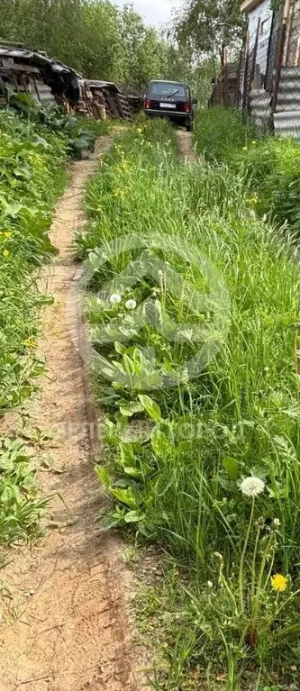 Участок в Московская область, Клин городской округ, д. Струбково, Луч ... - Фото 1