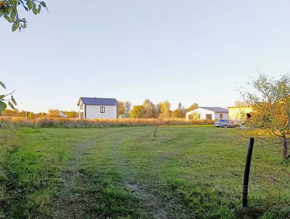 Участок в Калужская область, Ферзиковский муниципальный округ, ... - Фото 1