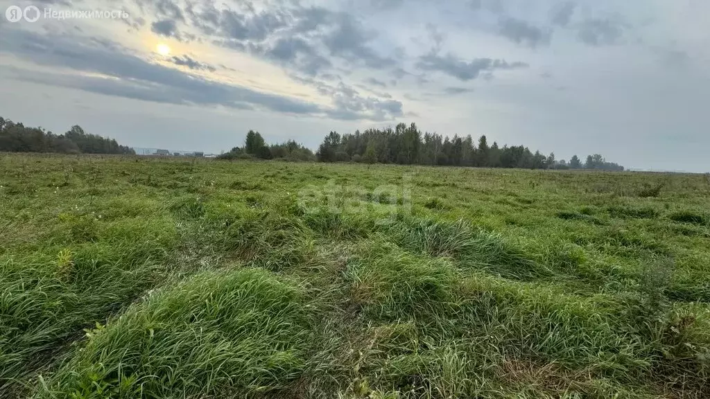 Участок в Стерлитамак, СНТ Ашкадар, Центральная улица (7.9 м) - Фото 1