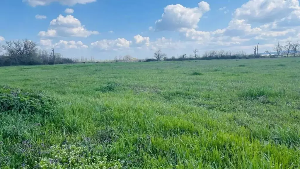 Участок в Крым, Кировский район, Приветненское с/пос, с. Айвазовское ... - Фото 1