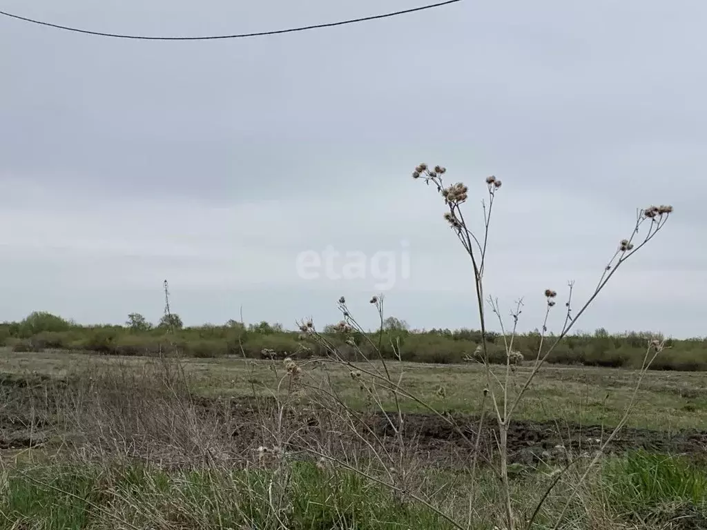 Участок в Курганская область, Далматово Западная ул. (75.0 сот.) - Фото 1