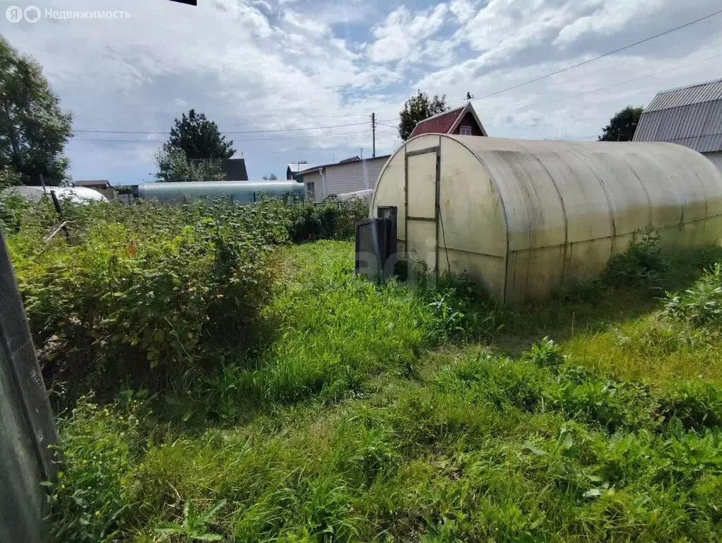 Участок в Новосибирск, садовое товарищество Пион, Шиповниковая улица ... - Фото 1