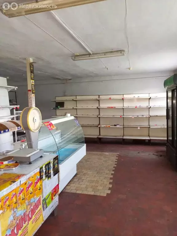Помещение свободного назначения (105 м) - Фото 1