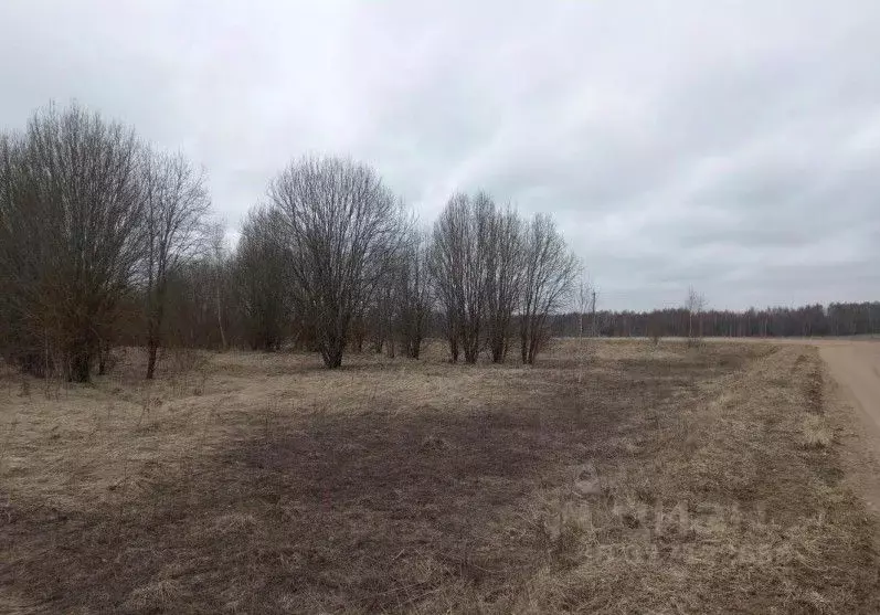 Участок в Московская область, Дмитровский муниципальный округ, д. ... - Фото 0