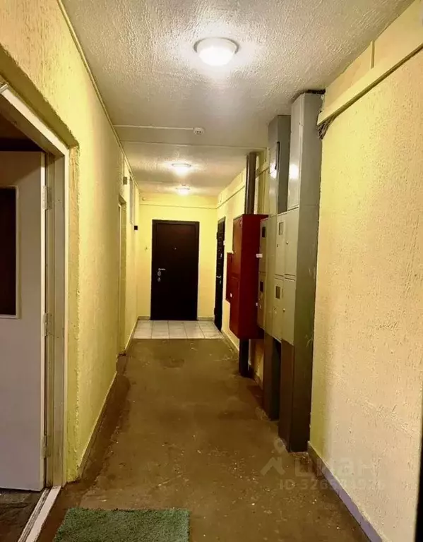 2-к кв. Московская область, Люберцы Красная Горка мкр, просп. ... - Фото 2