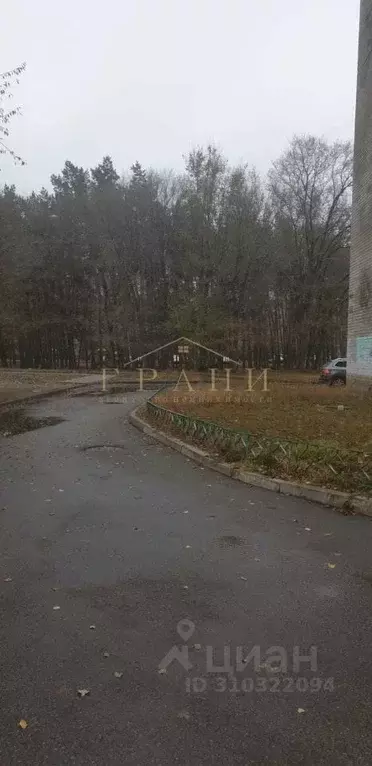 Комната Воронежская область, Воронеж ул. Молодогвардейцев, 10 (11.1 м) - Фото 1