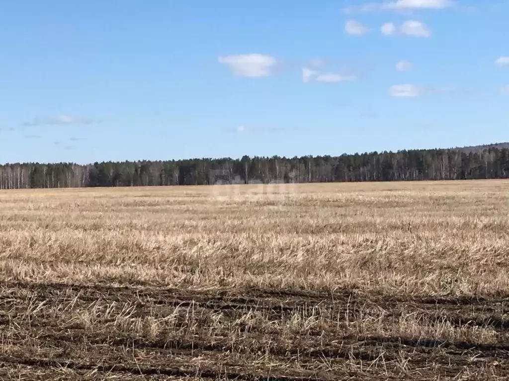 Участок в Свердловская область, Горноуральский городской округ, с. ... - Фото 1