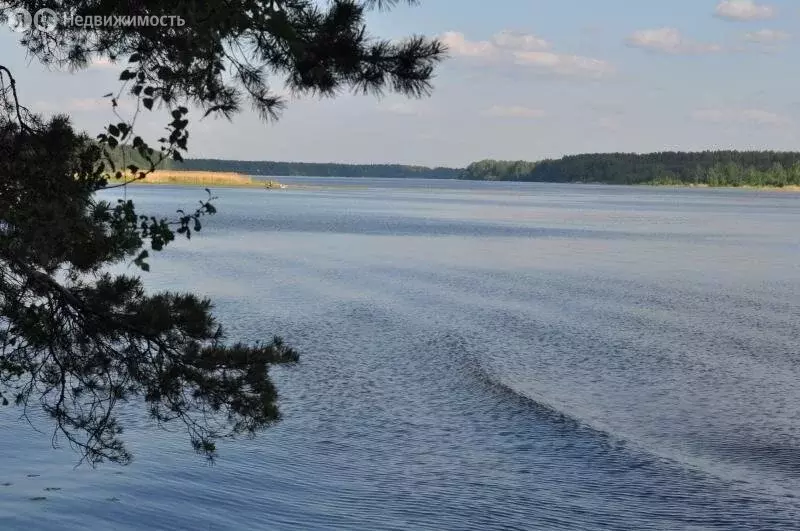 Участок в Тверская область, Кимрский муниципальный округ, деревня ... - Фото 1