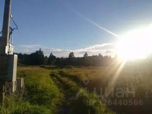 Участок в Ленинградская область, Выборгский район, Приморское ... - Фото 2