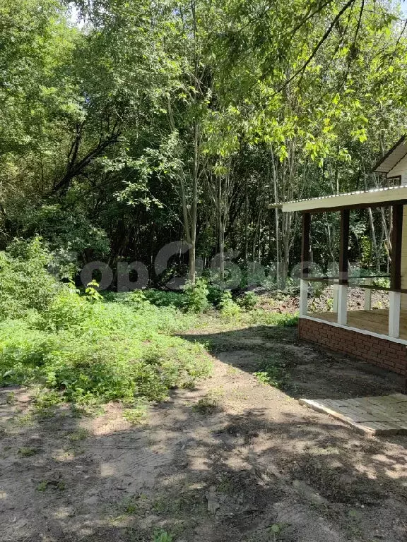 Продается участок в СНТ Деулино - Фото 0