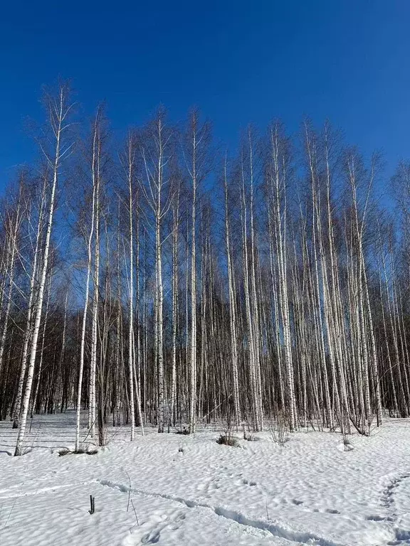 Участок 7 сот. (ИЖС) - Фото 0