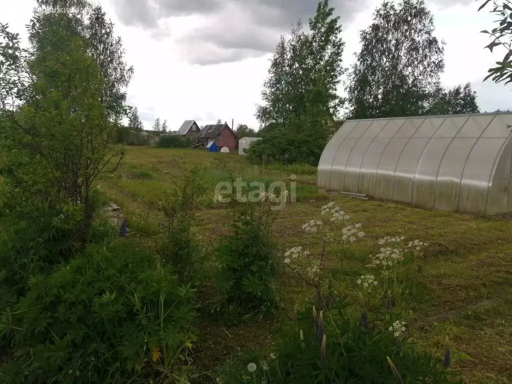 Вичелово Череповецкий Район Купить Дачу