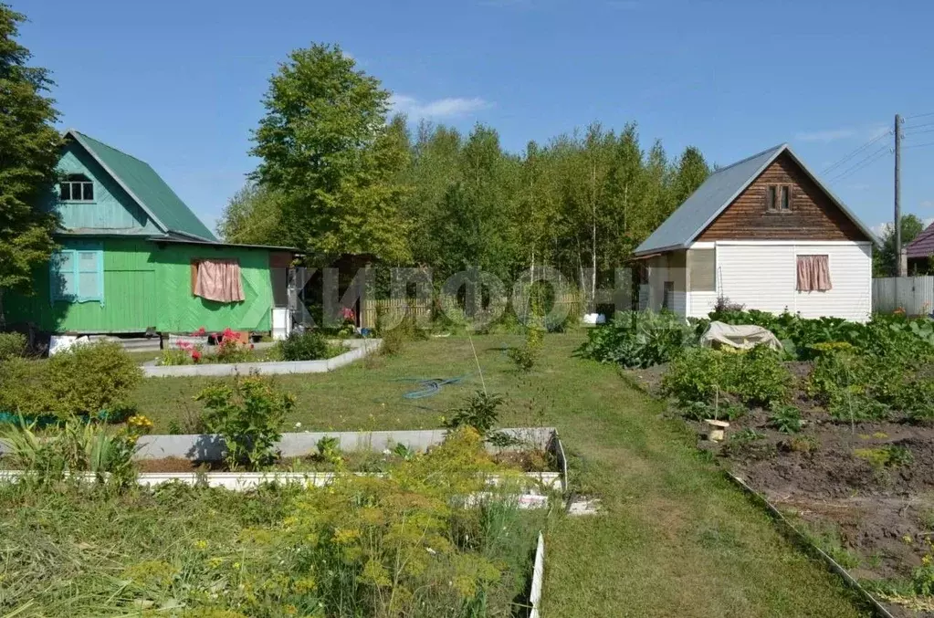 Дом в Новосибирская область, Тогучинский район, Криница СТ  (60 м) - Фото 1