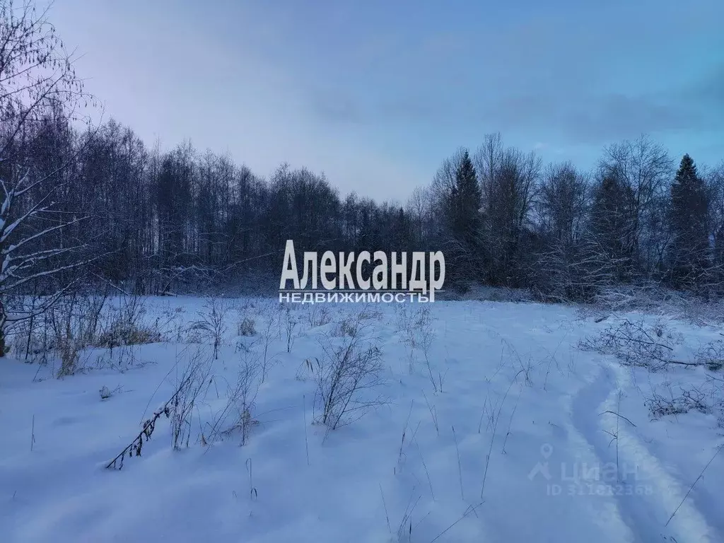 Участок в Ленинградская область, Волховский район, Хваловское с/пос, ... - Фото 0