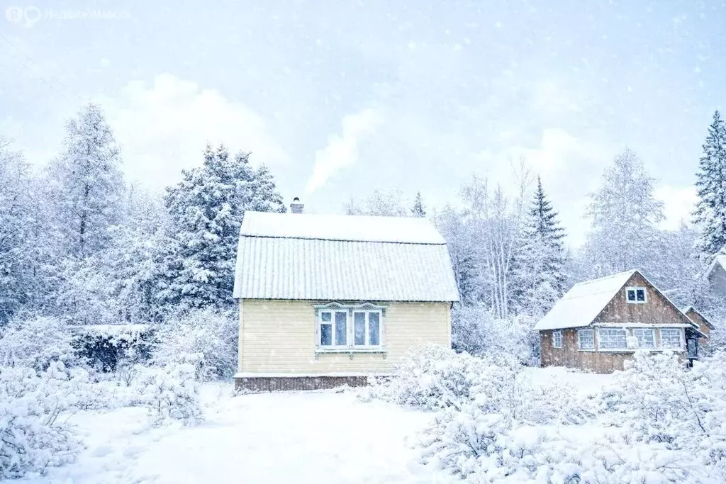 Дом в Московская область, Дмитровский муниципальный округ, СНТ Талица ... - Фото 1