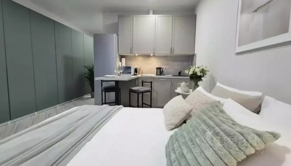 1-к кв. Москва Волоколамское ш., 71/13к1 (26.0 м) - Фото 2