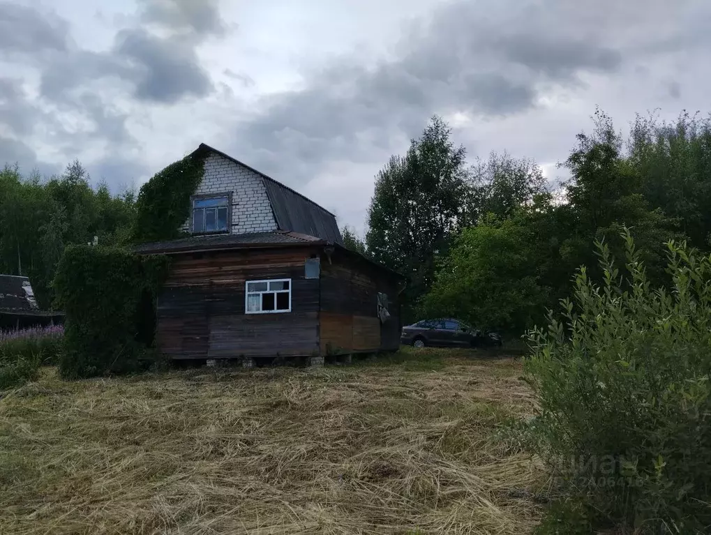 Участок в Владимирская область, Александровский район, Андреевское ... - Фото 1