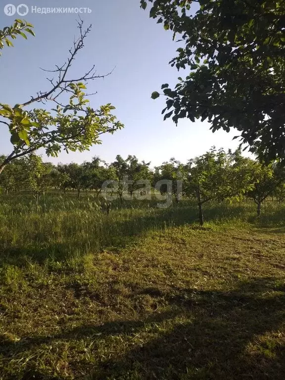 Участок в Краснодарский край, муниципальный округ Анапа, посёлок ... - Фото 2