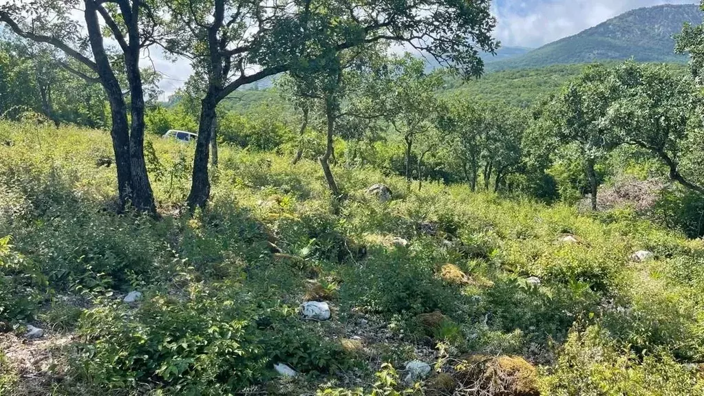 Участок в Крым, Алушта городской округ, с. Малый Маяк  (6.0 сот.) - Фото 1