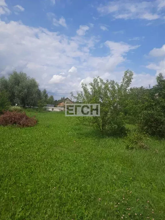 Продается участок в д. Крючково - Фото 2