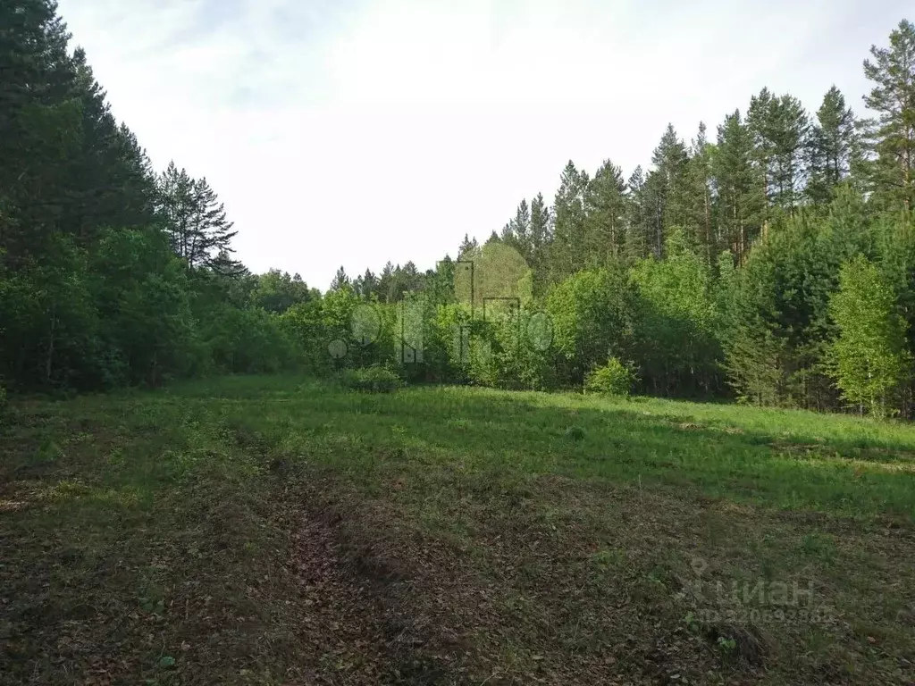 Участок в Иркутская область, Иркутский муниципальный округ, Михалево ... - Фото 1