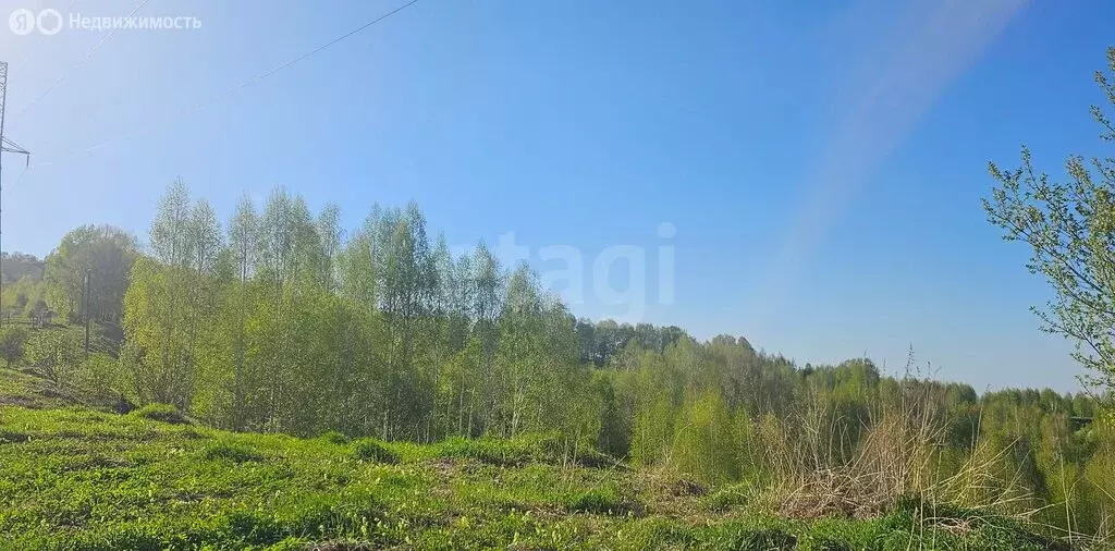 Участок в Республика Алтай, Горно-Алтайск (7.4 м) - Фото 2