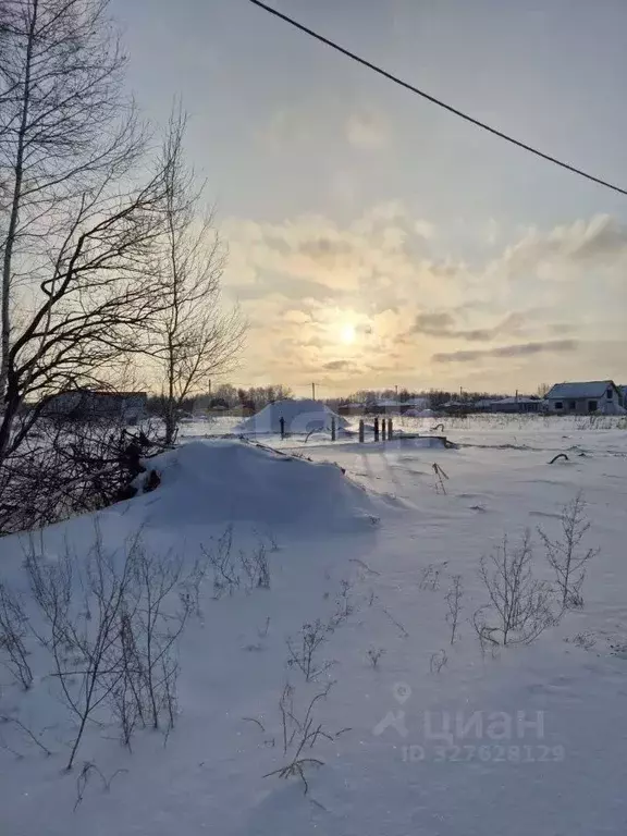 Участок в Новосибирская область, Новосибирский район, Березовский ... - Фото 2