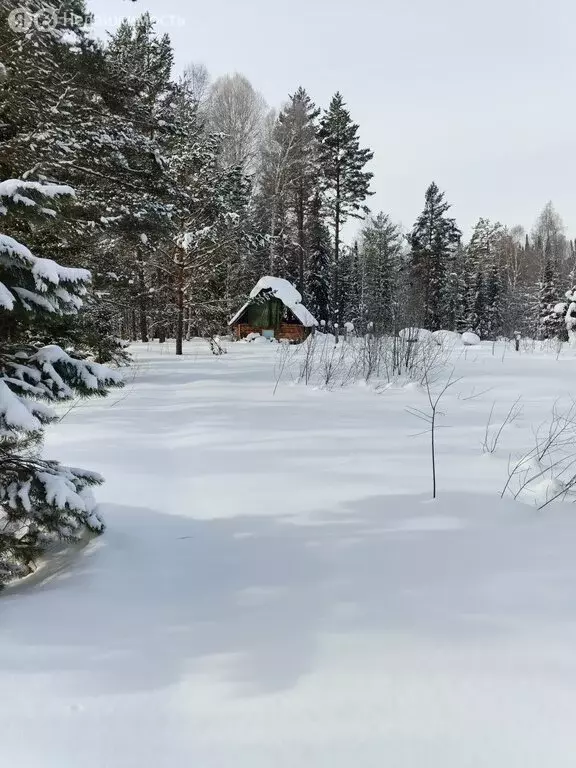 Участок в Турочакский район, Турочакское сельское поселение (248 м) - Фото 1