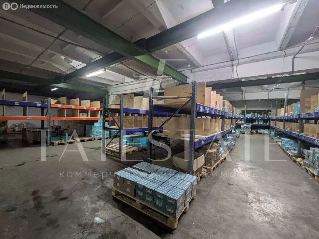 Склад (550 м) - Фото 2