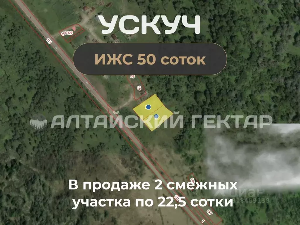 Участок в Алтай, Чойский район, с. Ускуч Лесная ул. (45.0 сот.) - Фото 1