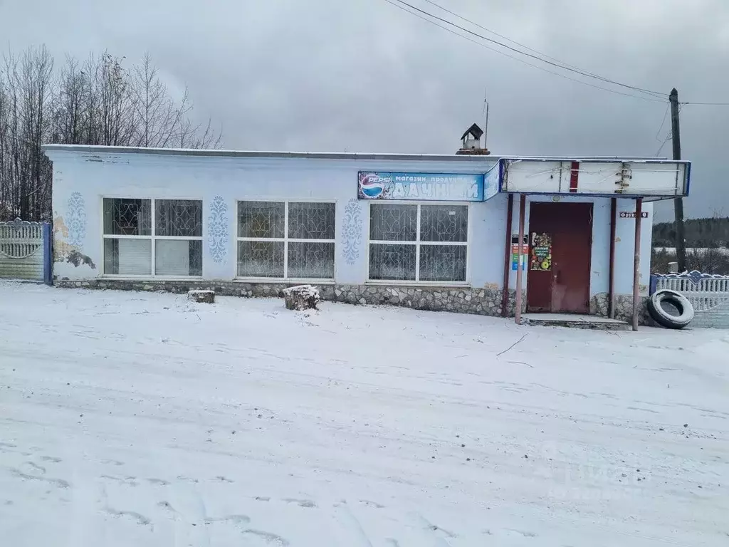 Торговая площадь в Свердловская область, Кушва ул. Фрунзе, 9 (151 м) - Фото 2