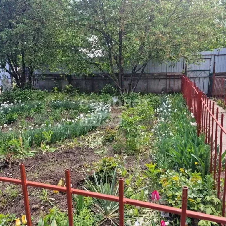 Дом в Курская область, Обоянский район, Рыбинские Буды сл. ул. ... - Фото 2