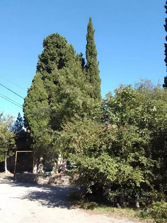 Участок в Крым, Ялта муниципальный округ, пос. Даниловка  (11.6 сот.) - Фото 1