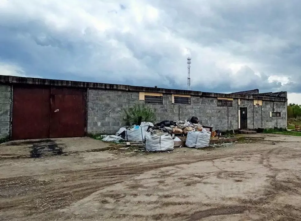 Производственное помещение в Московская область, Богородский городской ... - Фото 0