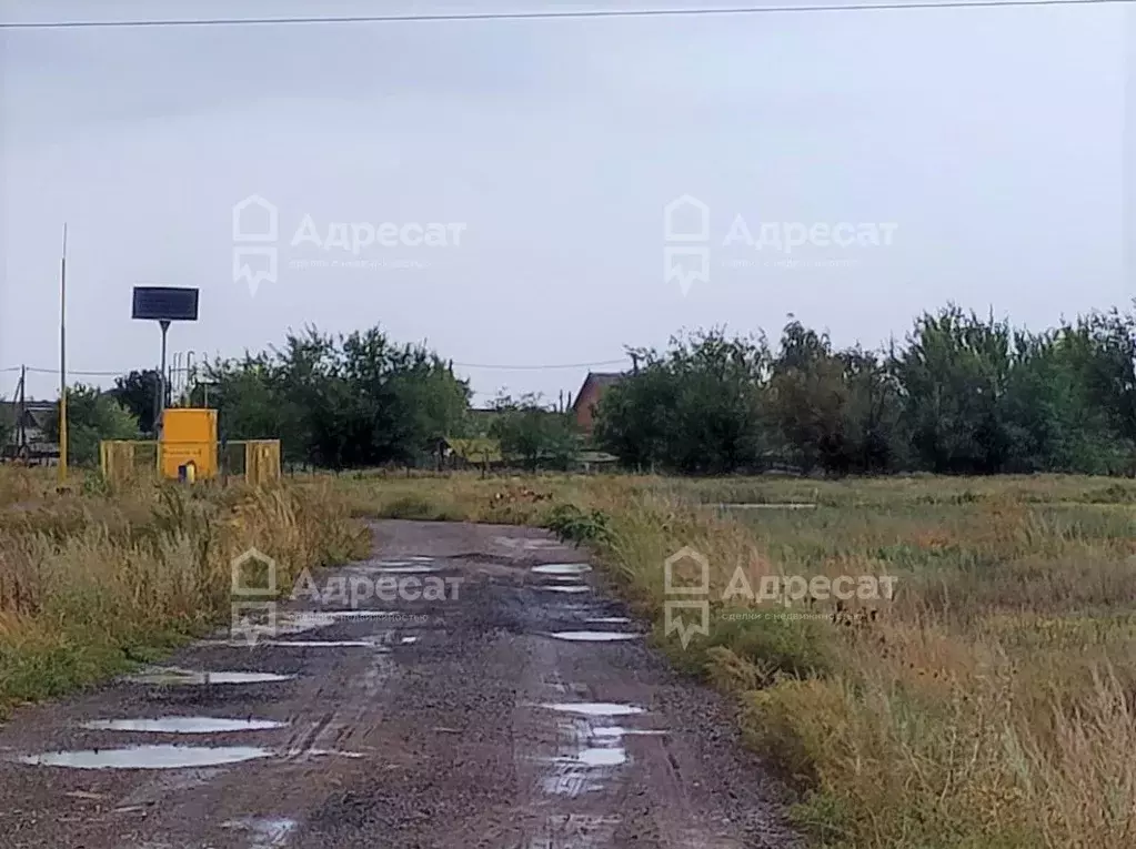 Участок в Волгоградская область, Светлоярский район, Червленовское ... - Фото 0