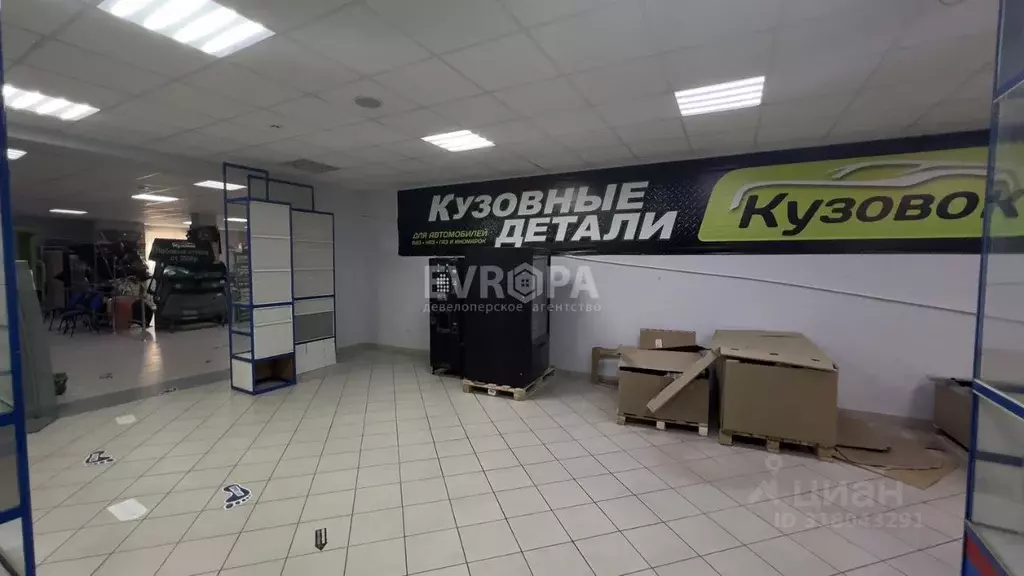 Торговая площадь в Ульяновская область, Ульяновск ул. Урицкого, 43А ... - Фото 2