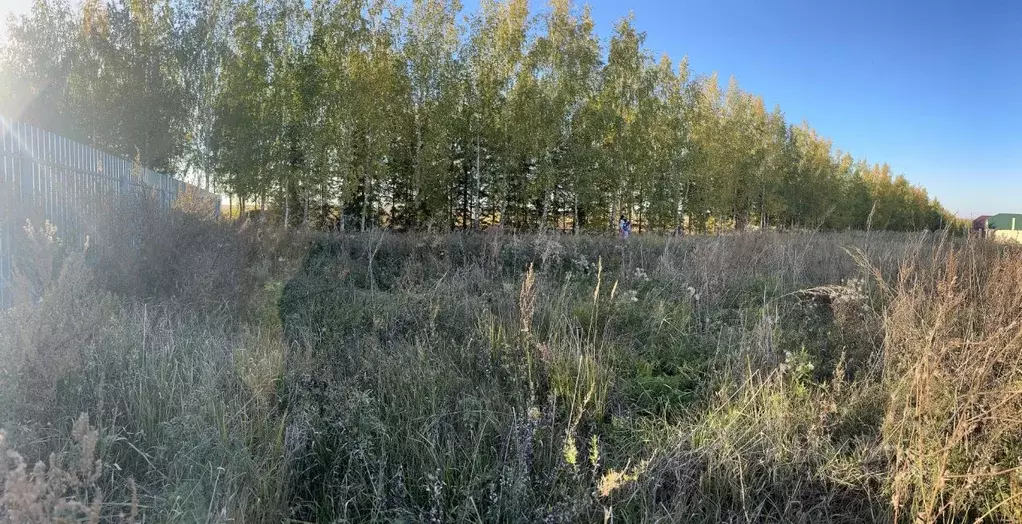 Участок в Татарстан, Лаишевский район, с. Кирби ул. Юности (6.0 сот.) - Фото 0