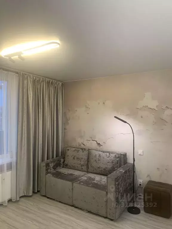 Студия Санкт-Петербург пос. Шушары, Московское ш., 262к1 (24.0 м) - Фото 1