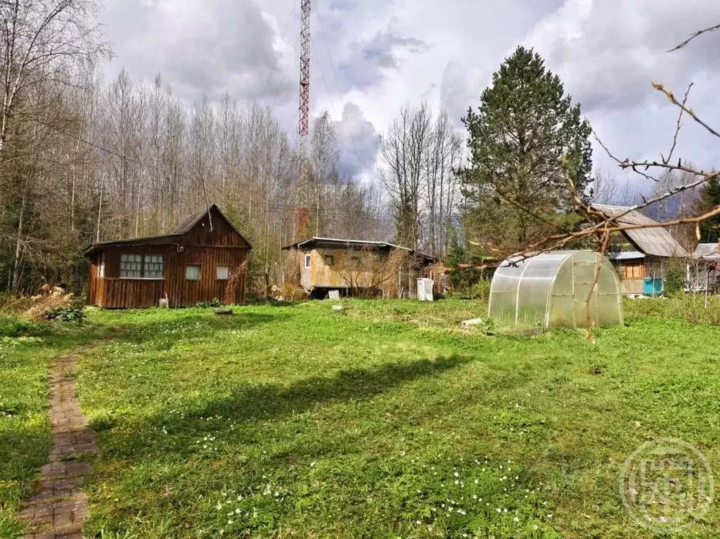 Дом в Ленинградская область, Гатчинский район, Новинка садоводческий ... - Фото 0