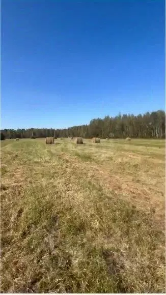 Участок в Ярославская область, Рыбинский муниципальный округ, д. ... - Фото 2