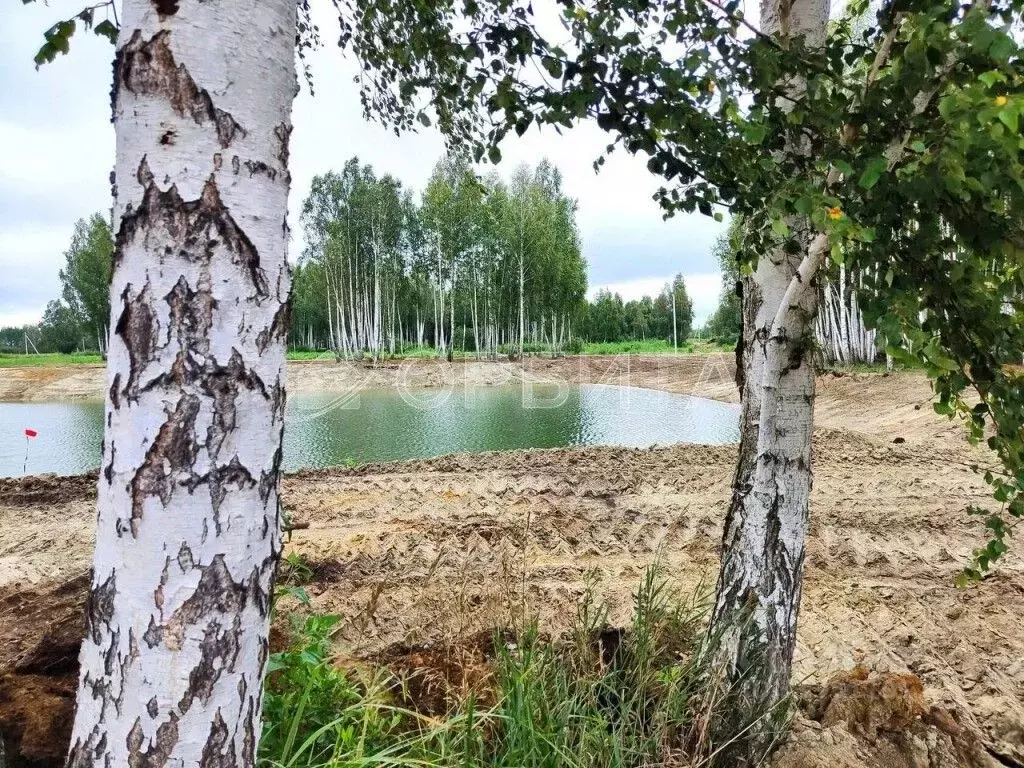 Участок в Тюменская область, Нижнетавдинский район, Березка СНТ  (7.0 ... - Фото 1