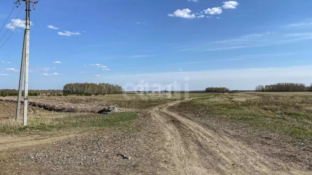 Участок в Тюменская область, Тюменский район, с. Луговое  (8.0 сот.) - Фото 1