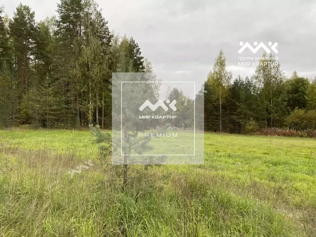 Участок в Ленинградская область, Приозерский район, Мельниковское ... - Фото 1