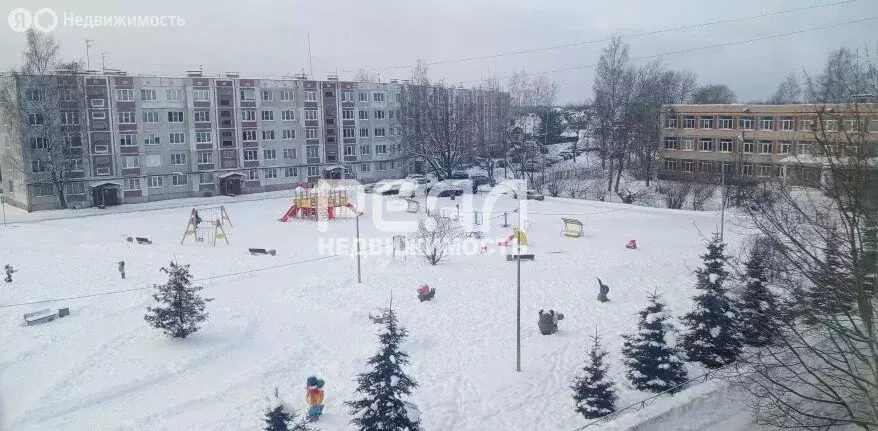 3-комнатная квартира: деревня Малое Верево, Школьная улица, 4 (73 м) - Фото 1