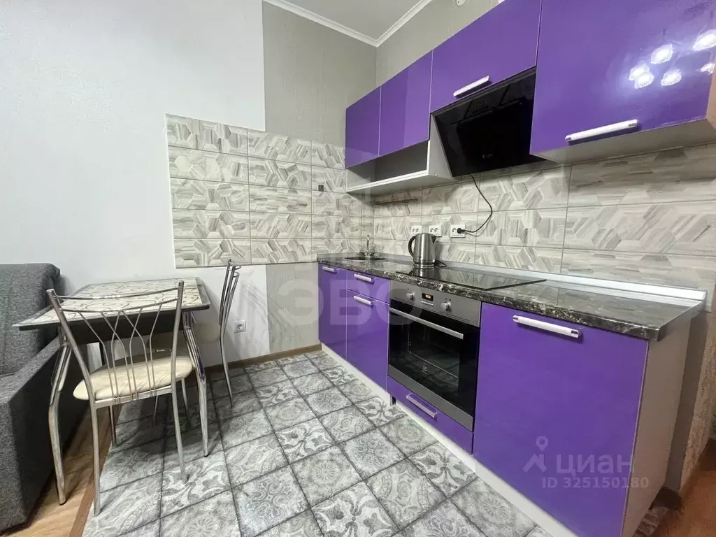 Студия Санкт-Петербург пос. Шушары, ул. Вишерская, 2 (25.4 м) - Фото 2