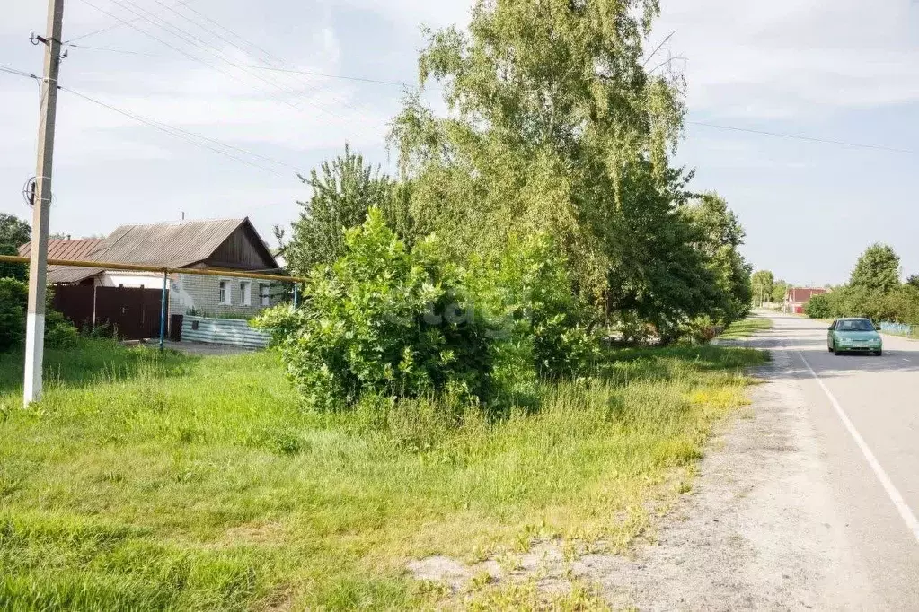 Дом в Белгородская область, Новооскольский муниципальный округ, с. ... - Фото 0